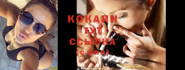 сатива Сафоново