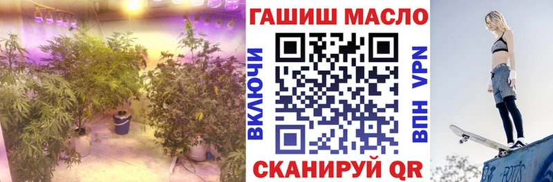 hydra   Харабали  ТГК концентрат 